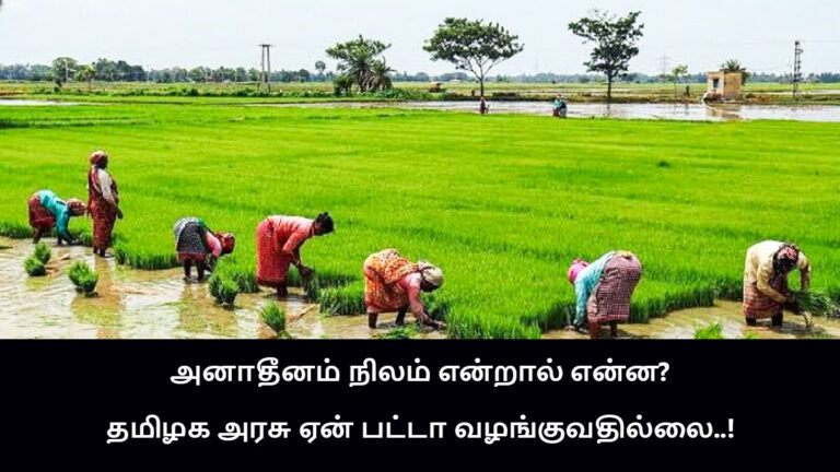 TN Govt does not provide anadheenam land patta