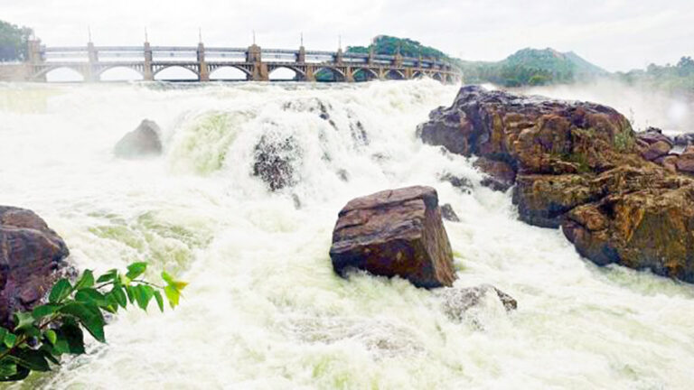 This Year Mettur dam reached 120 feet Farmers are happy