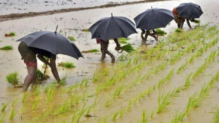 TN Govt Announces Rs 1 Lakh Subsidy for Agricultural Professionals