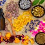 Ayurveda is called the Veda of life and how one should be