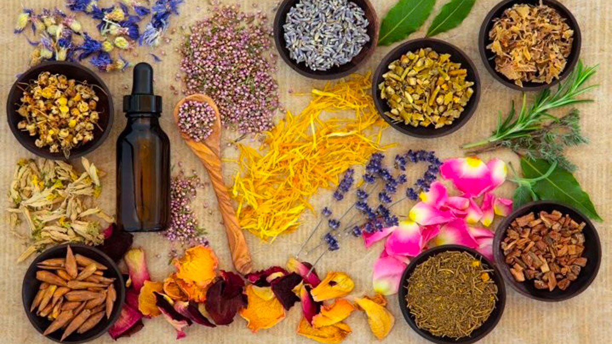 Ayurveda is called the Veda of life and how one should be