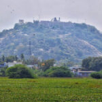 Thol Thirumavalavan Palani worshiped at Murugan temple